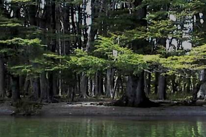 Fotograma de un video de Matilde Marín, artista que viaja con su obra a La Habana