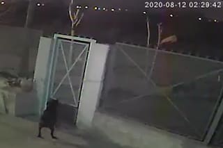 Guernica. Mató a su esposa, metió el cuerpo en una bolsa y lo tiró a una zanja