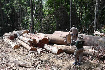 Funcionarios del estado de Pará, norte de Brasil, inspeccionan un área deforestada en la selva amazónica durante la vigilancia en el municipio de Pacaja, a 620 km de la capital Belem