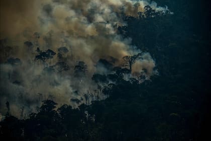 Incendio ilegal en la selva tropical de la Amazonia en Labrea