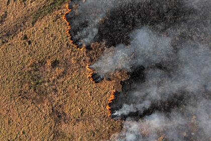 Incendio forestal en Porto Jofre, Pantanal, estado de Mato Grosso