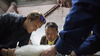 Matt Scanlan se preocupa para que los pastores obtengan un precio justo