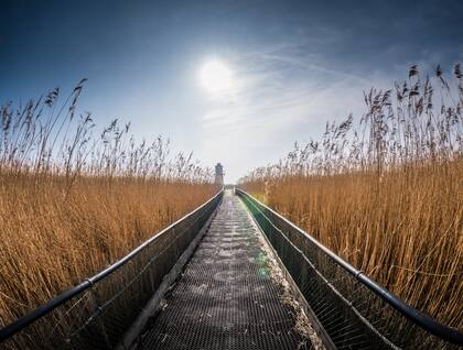 Foto: Matthew Miles - Unsplash