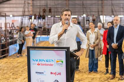 Mauricio Groppo, presidente de la Asociación Argentina de Brangus (AAB)