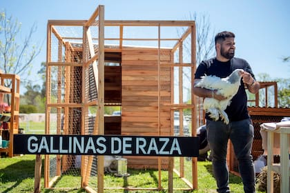 Mauricio Mendez, de Gallinas de Raza.