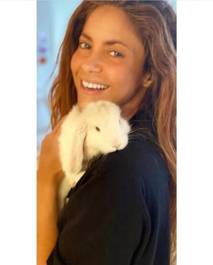Max, el primer conejo de Shakira y Piqué (Crédito: Instagram)