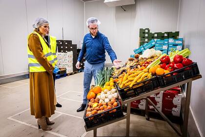 Máxima recorrió las instalaciones y usó cofia, chaleco y guantes (Foto: Instagram @koninklijkhuis)