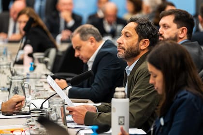 Maximiliano Ferraro, de la Coalición Cívica, rechazó el dictamen de mayoría