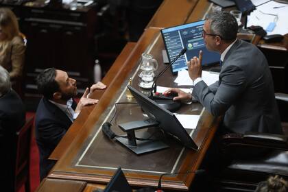 Maximiliano Ferraro, de la Coalición Cívica, discute con Martín Menem