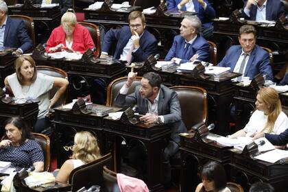 Maximiliano Ferraro durante el tratamiento de la "Ley Ómnibus"