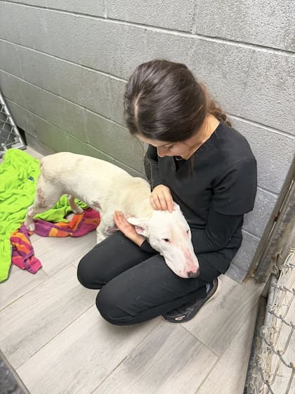 Maxwell se mostró de inmediato como un perro cariñoso.