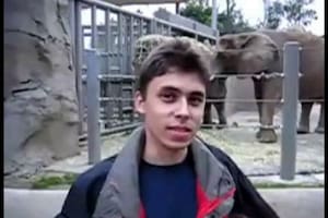 El primer video de YouTube se convierte en pieza de museo