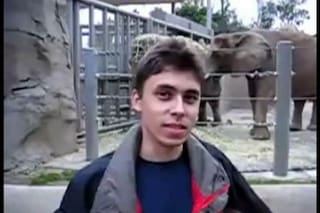 El primer video de YouTube se convierte en pieza de museo