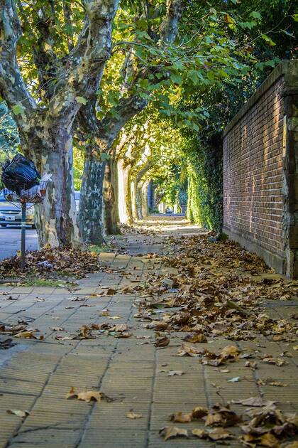 "Me gusta ir al atardecer y caminar por las callecitas cerca de la estación, llenas de árboles y casonas viejas”