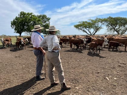 "Me levanto temprano, recorro el campo a caballo y trabajo con la hacienda. También tengo ovejas y caballos. Este estilo de vida me da tranquilidad y paz, algo que después de la guerra valoré mucho", señala