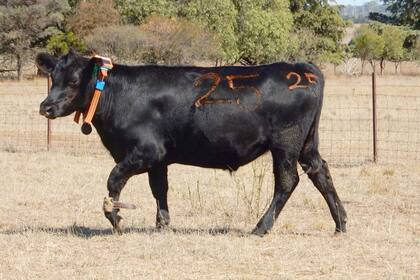 Mediante geoposicionamiento se pueden conocer los movimientos