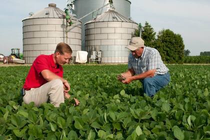 Mediante sentores y análisis del clima, The Climate Corporation provee información a los productores para obtener el mayor rendimiento de sus cultivos