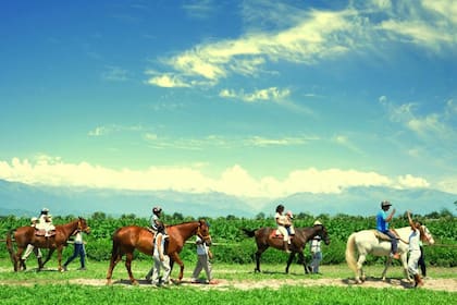 Mediante un proyecto de ley con petición en Change, 200 centros de equinoterapia buscan regular este método.