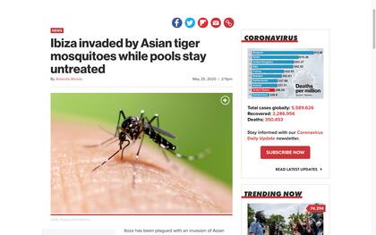 Medios alertan por una invasión de mosquito tigre