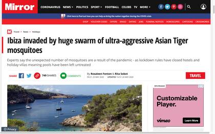 Medios alertan por una invasión de mosquito tigre