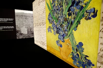 "Meet Vicent van Gogh" está basada en la colección de cartas personales del artista que se conservan en el Museo van Gogh de Ámsterdam. A partir de estas notas, en las que Vincent escribía a su hermano sobre su vida privada además de sobre su producción, es que su sobrino bisnieto diseño la muestra que recorre la vida del artista..