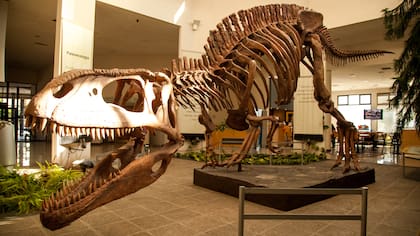 MEF, Trelew, Chubut.