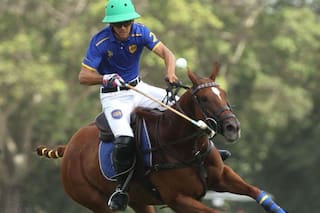 El caballo de Polo Argentino, una raza consolidada y en plena expansión