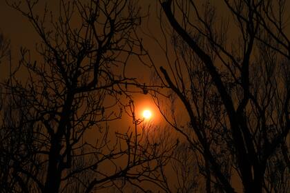 Varios incendios avanzaron en las últimas semanas en el este del país