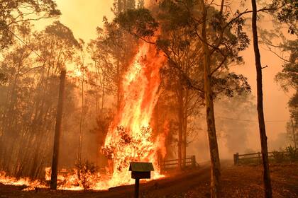 Un "superincendio" en el norte de Sídney provocó la muerte de seis personas y destruyó 700 casas