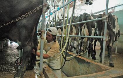 Los tamberos han venido advirtieron sobre la crítica situación que atraviesan