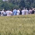 Una marca destaca la mejora de la competitividad para apostar al cultivo