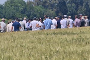 Una marca destaca la mejora de la competitividad para apostar al cultivo