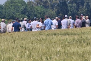 Una marca destaca la mejora de la competitividad para apostar al cultivo
