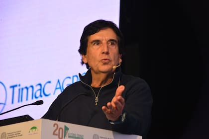 Melconian advirtió que que las reservas netas del BCRA son negativas