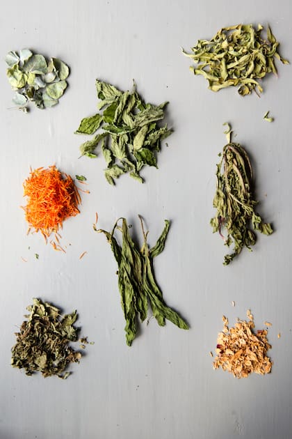 Melisa, pétalos de rosa, llantén, caléndula, menta y diente de león