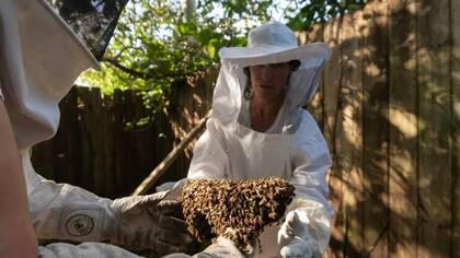 Melissa Sorokin se define como “una defensora de las abejas”