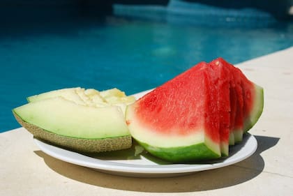 Melón y sandía, frutas que tu perro puede comenzar a consumir (Foto: Pixabay)