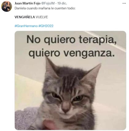 Meme en apoyo a Daniela Celis