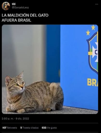 Meme sobre la eliminación de Brasil en referencia a la "maldición del gato"