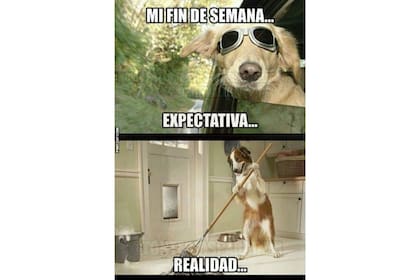 Memes sobre el fin de semana. Foto: www.pintzap.com