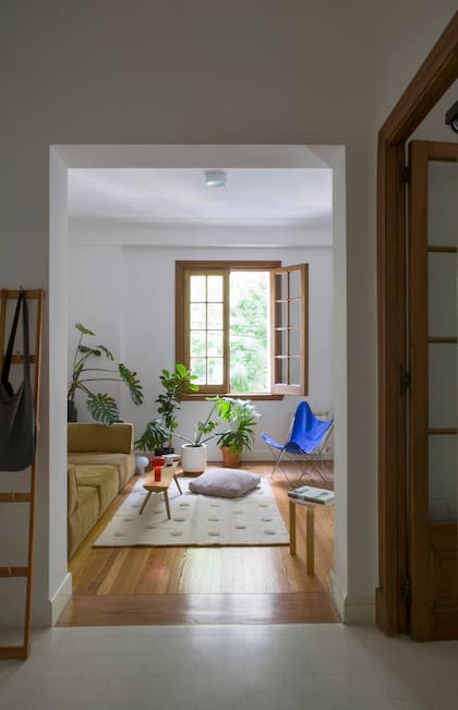 Mención especial a todas las plantas que acompañan las copas de los árboles que asoman por la ventana