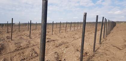 Ya se reciclaron 300 fardos de recipientes plásticos