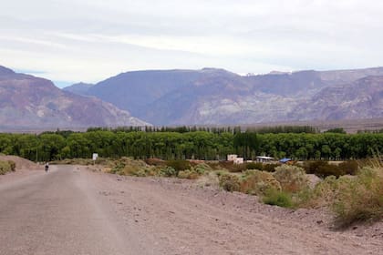 Mendoza, entre las finalistas en el concurso New7Wonders