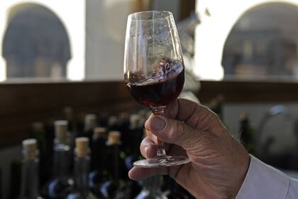 Mendoza, identificada como ciudad internacional del vino