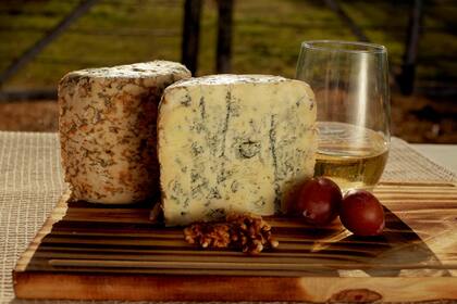 Mendoza llamó Stracco (cansado en italiano) a su queso gorgonzola en alusión al queso que se fabrica con la leche de las vacas que bajan cansadas de los Alpes a los valles cuando termina el verano