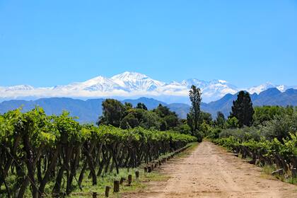 Mendoza volvió a repetir como la provincia más visita en el invierno