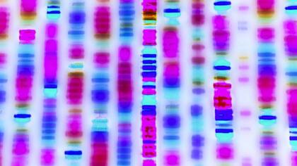 Menos del 2% de los 3.000 millones de letras del genoma humano están dedicadas a las proteínas