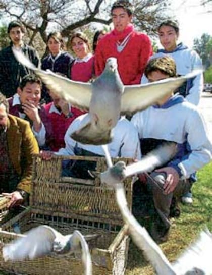 Chicos del colegio Albert Schweitzer, en Mendoza, sueltan palomas en una convocatoria para frenar la violencia en las calles