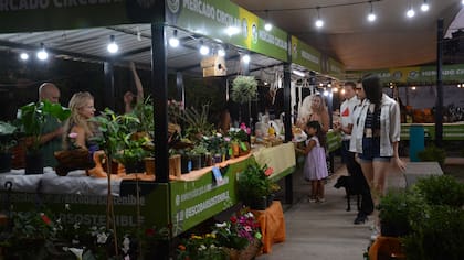 Mercado Circular de Ingeniero Maschwitz