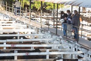 Mercado de Hacienda de Liniers